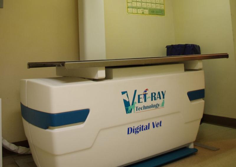 Carousel Slide 7: Parkside Veterinary Hospital Veterinary Diagnostics